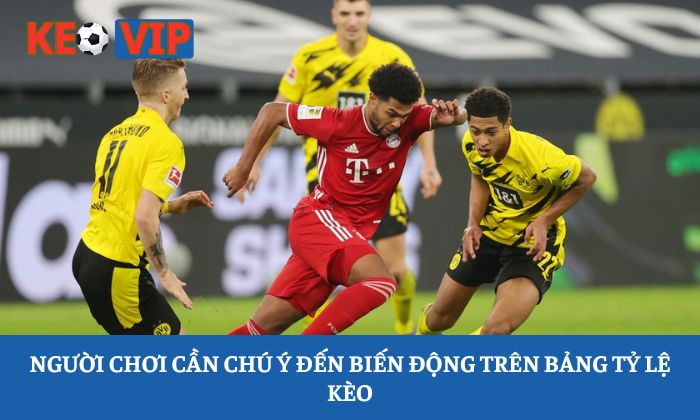 Người chơi cần chú ý đến biến động trên bảng tỷ lệ kèo