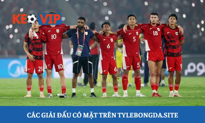 Bảng xếp hạng bóng đá Các giải đấu có mặt trên tylebongda.site