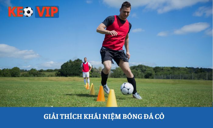 Cách chơi bóng đá cỏ - Thông tin cơ bản đến nâng cao cho người chơi 1 Giải thích khái niệm bóng đá cỏ