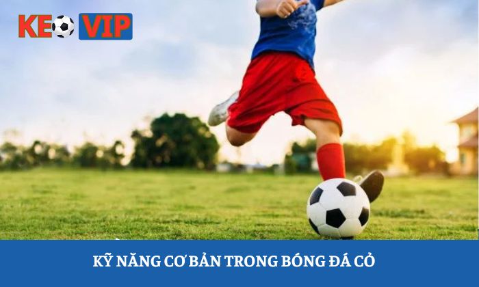 Cách chơi bóng đá cỏ - Thông tin cơ bản đến nâng cao cho người chơi 2 Kỹ năng cơ bản trong bóng đá cỏ