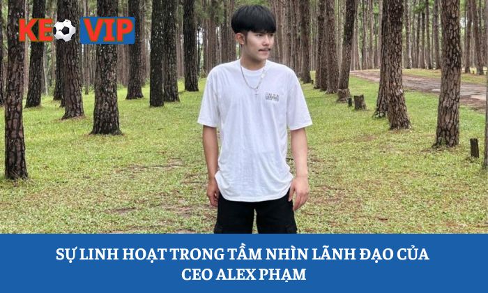 CEO Alex Pham 2 Sự linh hoạt trong tầm nhìn lãnh đạo của CEO Alex Phạm