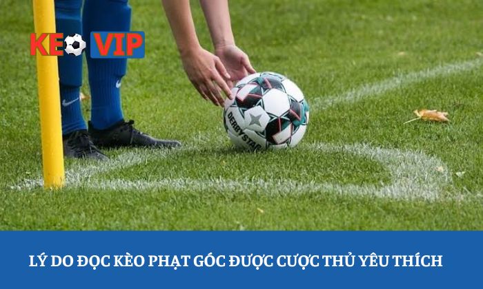 Đọc kèo phạt góc Lý do đọc kèo phạt góc được cược thủ yêu thích