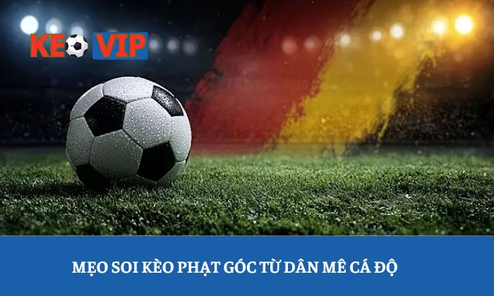 Đọc kèo phạt góc Mẹo soi kèo phạt góc từ dân mê cá độ chuyên nghiệp