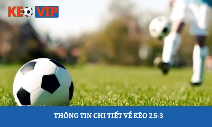 kèo 2.5-3 là gì kèo 2.5-3 là gì