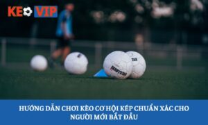Kèo cơ hội kép