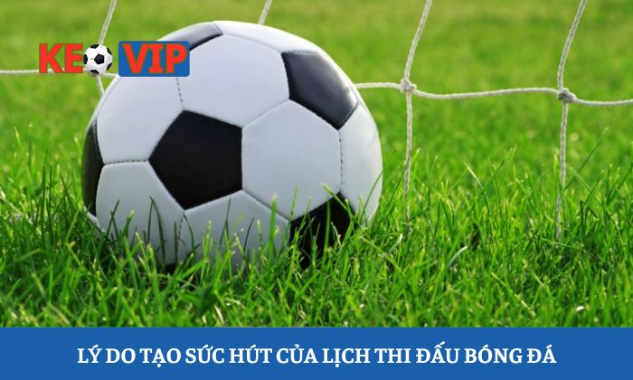 Lý do tạo sức hút của lịch thi đấu bóng đá tại tylebongda 
