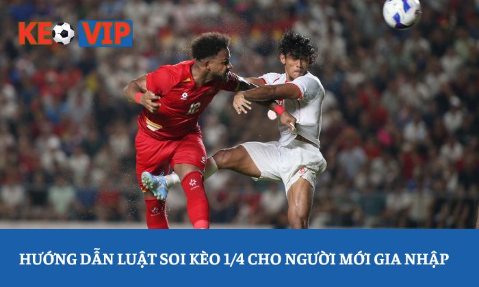 soi kèo 1/4 Hướng dẫn luật soi kèo 1/4 cho người mới gia nhập